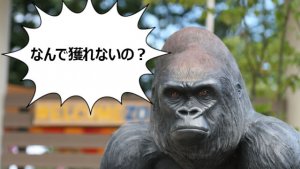 なんで獲れないの?~販売に対する動機づけ