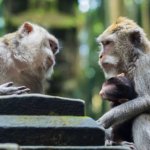 お客様と信頼関係を築く会話力