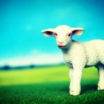 新人スタッフの離職を防ぐ動機づけ